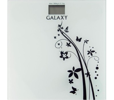 Весы GALAXY GL 4800