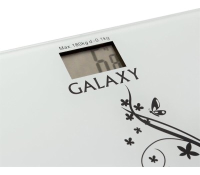 Весы GALAXY GL 4800