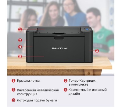Принтер PANTUM P2500 Black