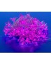 Гирлянда UNIEL (07933) ULD-S0700-050/DTA PINK SAKURA