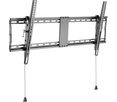 Кронштейн REXANT (38-0345) для 43