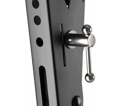 Кронштейн REXANT (38-0345) для 43