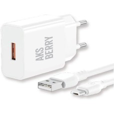СЗУ AKSBERRY (6972969383071) T42 QC3.0 + кабель MicroUSB, белый