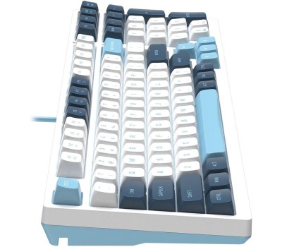 A4TECH Клавиатура Fstyler FS300, проводная, USB, механическая, белый/синий [fs300 panda snowboarding]