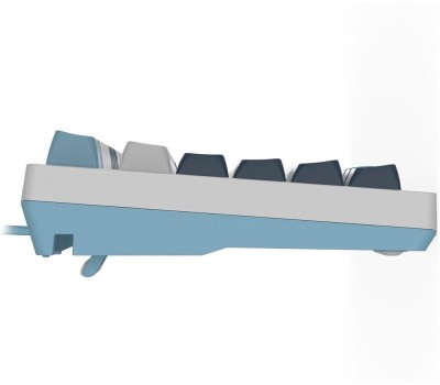 A4TECH Клавиатура Fstyler FS300, проводная, USB, механическая, белый/синий [fs300 panda snowboarding]