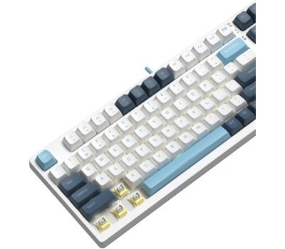 A4TECH Клавиатура Fstyler FS300, проводная, USB, механическая, белый/синий [fs300 panda snowboarding]