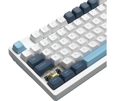 A4TECH Клавиатура Fstyler FS300, проводная, USB, механическая, белый/синий [fs300 panda snowboarding]