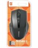 Мышь беспроводная DEFENDER (52665) ACCURA MM-665 черный