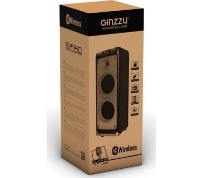 Мидисистема GINZZU GM-205