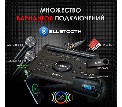 Мидисистема GINZZU GM-205