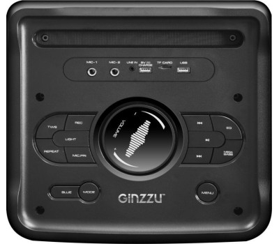 Мидисистема GINZZU GM-205