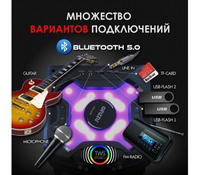 Мидисистема GINZZU GM-205