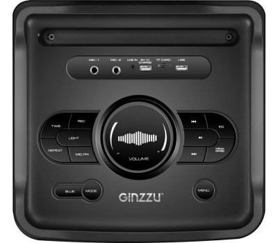 Мидисистема GINZZU GM-205