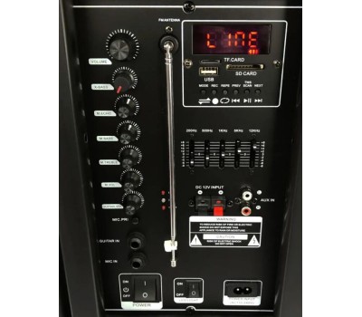 Акустика портативная ELTRONIC (20-14) DANCE BOX 300 - колонка 10