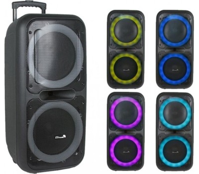 Акустика портативная ELTRONIC (20-14) DANCE BOX 300 - колонка 10