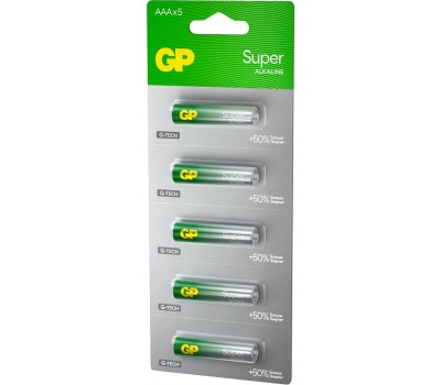 GP BATTERIES GP 24AA21-2CRSC5 60/600