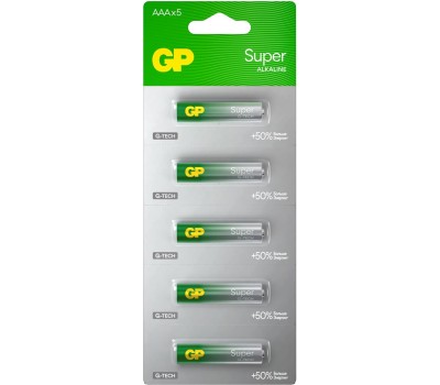 GP BATTERIES GP 24AA21-2CRSC5 60/600