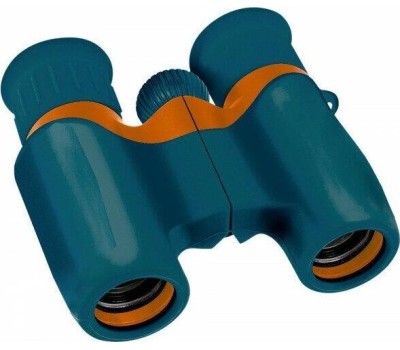 Бинокль LEVENHUK LABZZ B2