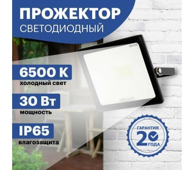 Прожектор светодиодный REXANT (605-003) 30 Вт 200-260В IP65 2400 лм 6500 K холодный свет