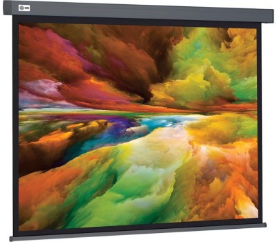 Экраны CACTUS Экран Wallscreen CS-PSW-152X203-SG, 203х152 см, 4:3, настенно-потолочный серый