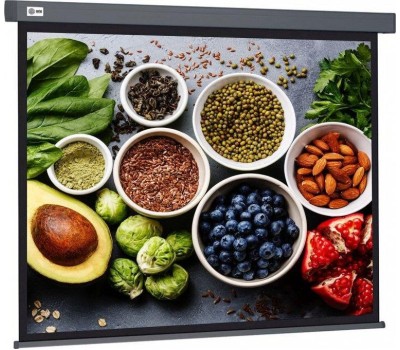 Экраны CACTUS Экран Wallscreen CS-PSW-152X203-SG, 203х152 см, 4:3, настенно-потолочный серый