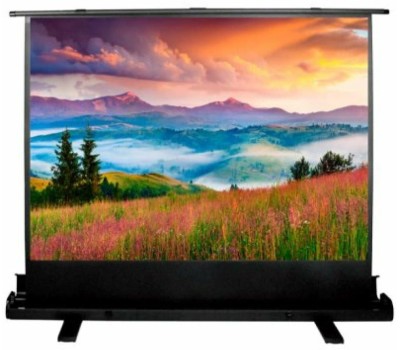 Экраны CACTUS Экран FloorExpert CS-PSFLE-180X135, 180х135 см, 4:3, напольный