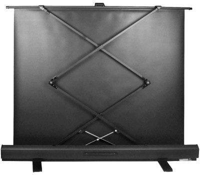 Экраны CACTUS Экран FloorExpert CS-PSFLE-180X135, 180х135 см, 4:3, напольный