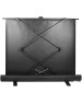 Экраны CACTUS Экран FloorExpert CS-PSFLE-180X135, 180х135 см, 4:3, напольный