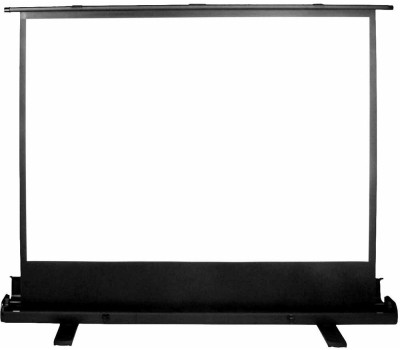 Экраны CACTUS Экран FloorExpert CS-PSFLE-180X135, 180х135 см, 4:3, напольный