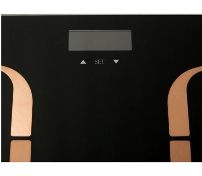 Весы CENTEK CT-2431 Smart