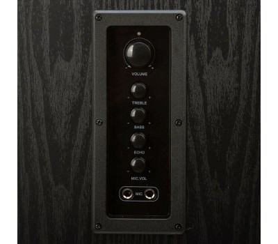 Акустика ELTRONIC (20-82) Home Sound черный - колонка 08