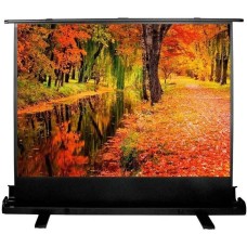 CACTUS Экран 98