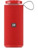 Портативные аудиосистемы SOUNDMAX SM-PS5015B(красный)