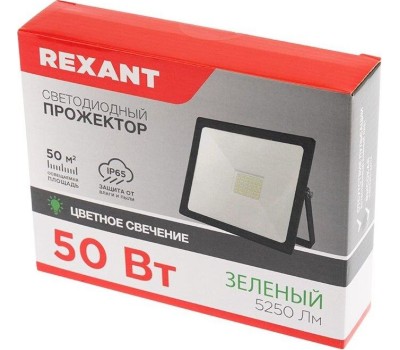 Прожектор светодиодный REXANT (605-014) 10 Вт, цвет свечения зеленый