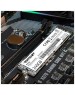 PATRIOT SSD накопитель P310 P310P240GM28 240ГБ, M.2 2280, PCIe 3.0 x4, NVMe, M.2