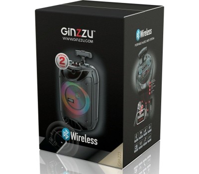 Мидисистема GINZZU GM-223