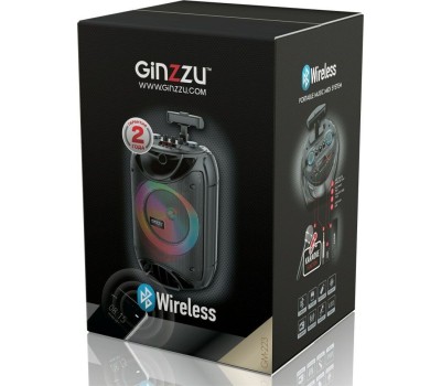 Мидисистема GINZZU GM-223