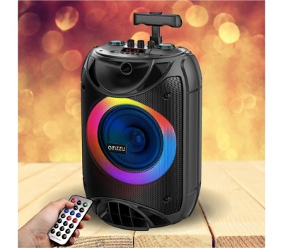 Мидисистема GINZZU GM-223