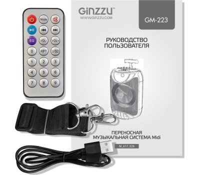 Мидисистема GINZZU GM-223