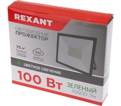 Прожектор светодиодный REXANT (605-015) 20 Вт, цвет свечения зеленый
