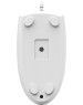 A4TECH Мышь проводная N-530S, оптическая, USB, 1200dpi, белый