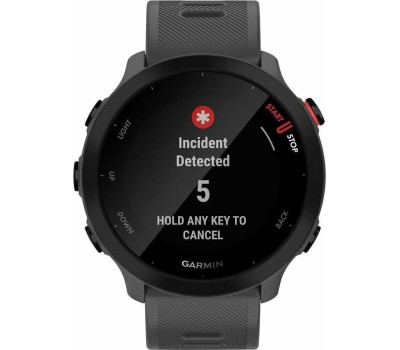 GARMIN Смарт-часы Forerunner 55, 42мм, 1.04