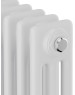 Радиатор ROYAL THERMO Дизайн-радиатор Insignia R C3030 - 14 секц. RAL9016