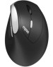 Мышь беспроводная RAPOO EV250 Black