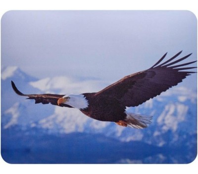 Коврик для мыши BURO BU-M40005 (S) рисунок/орёл, PVC, 230х180х2мм
