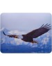 Коврик для мыши BURO BU-M40005 (S) рисунок/орёл, PVC, 230х180х2мм