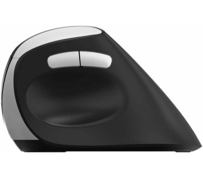 Мышь беспроводная RAPOO EV250 Black