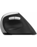 Мышь беспроводная RAPOO EV250 Black