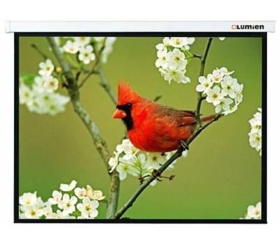 LUMIEN Экран Master Picture LMP-100109, 203х153 см, 4:3, настенно-потолочный