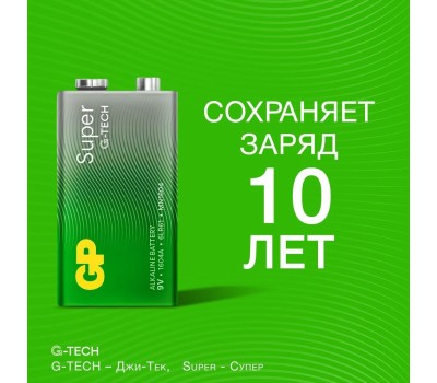 GP BATTERIES GP 1604AA21RA-5CRS1 10/500